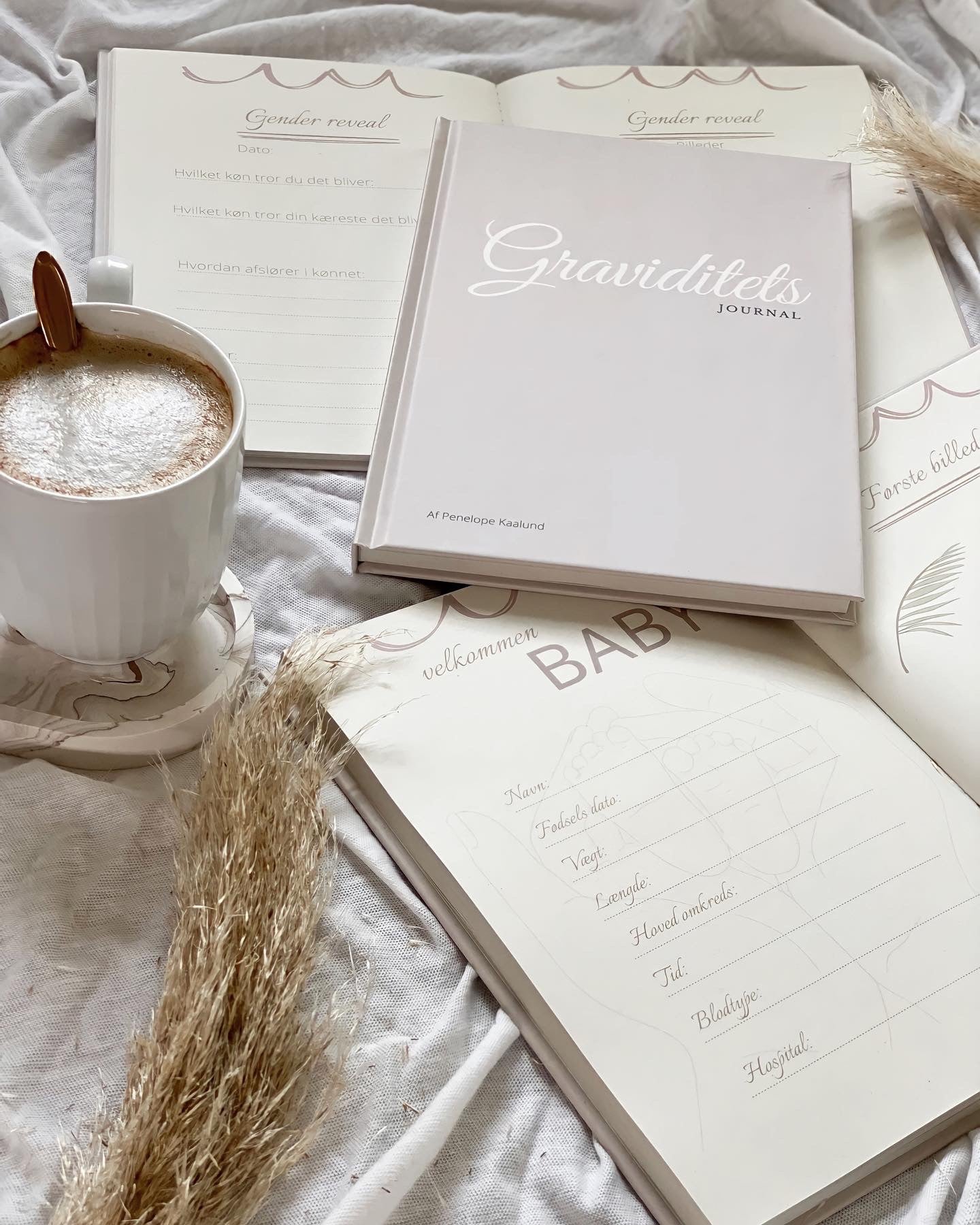 Graviditet journal - Gammel udgave