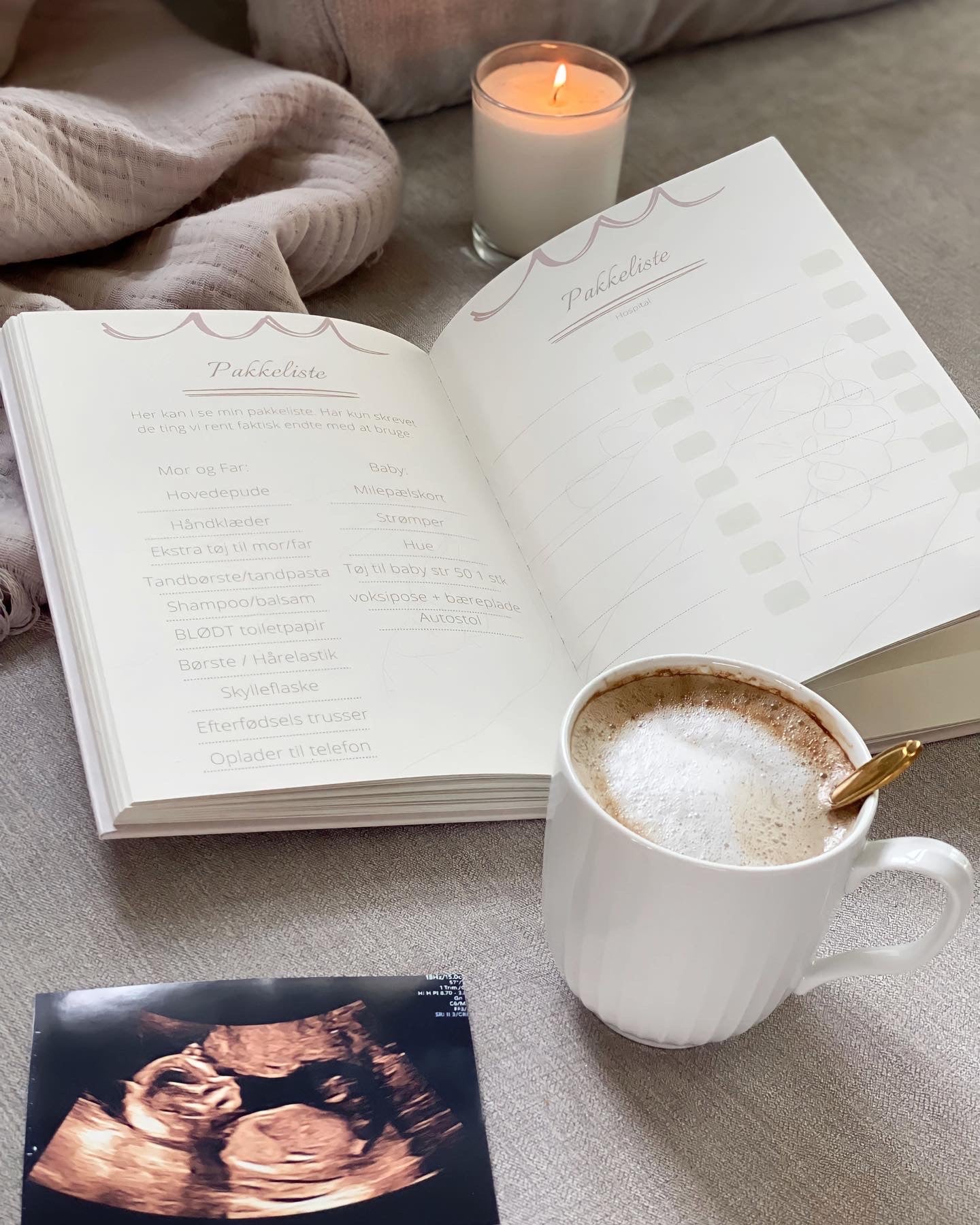 Graviditet journal - Gammel udgave